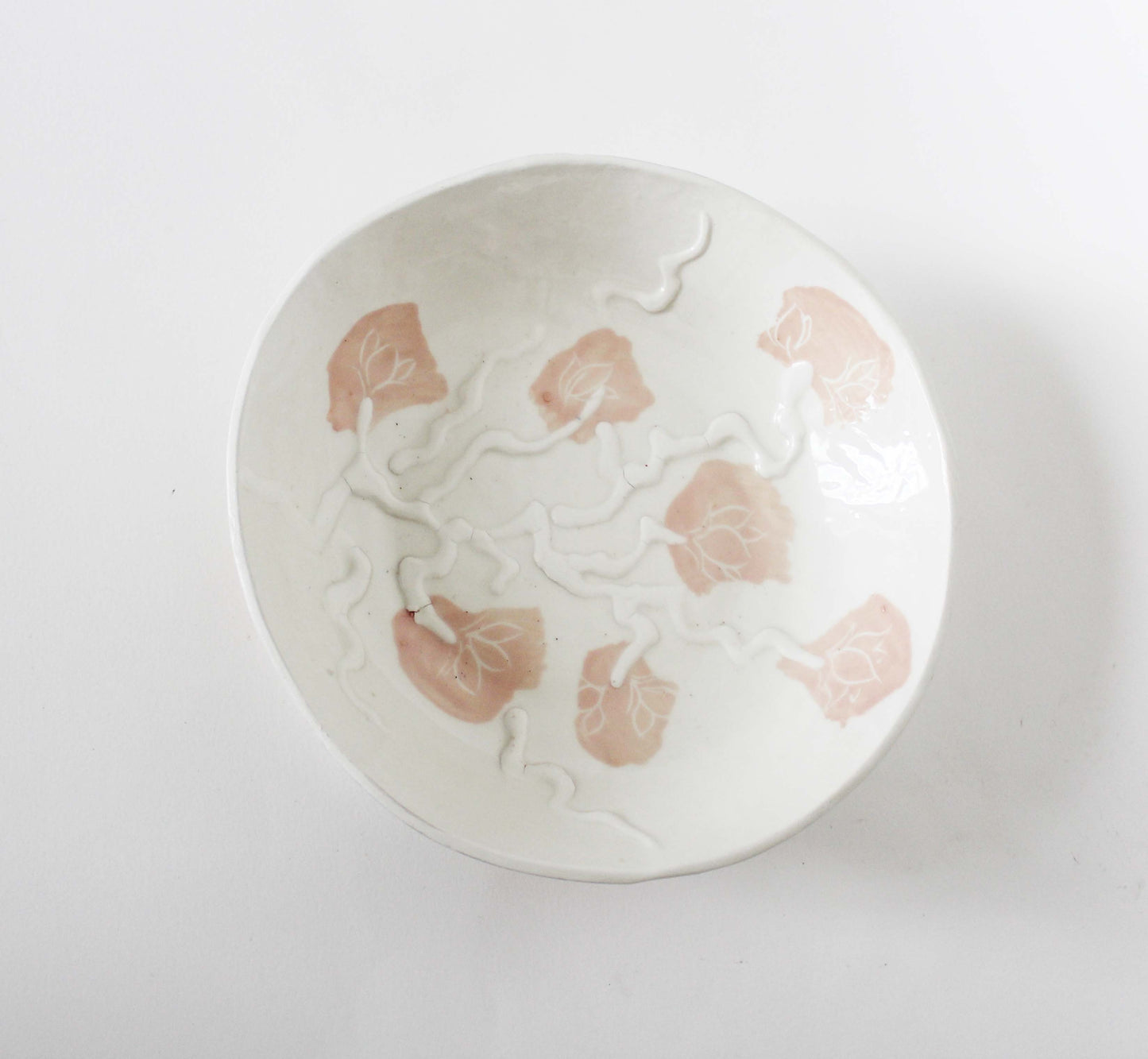 Assiettes - Délicieuse - Succulente